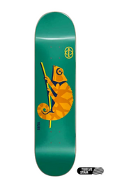 Yuri Facchini  | Almost | Animals (Chameleon) | Deck 8.375 inches | Skateboard Deck